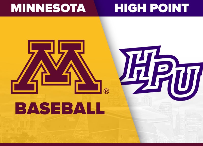 More Info for University of Minnesota v. High Point